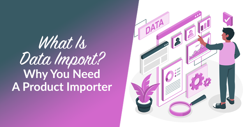 What Is Data Import? Why You Need A Product Importer